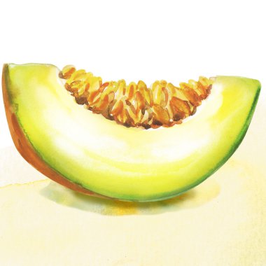 Balkabağı. suluboya resim