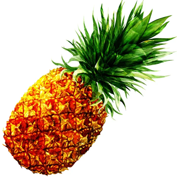 suluboya ananas izole