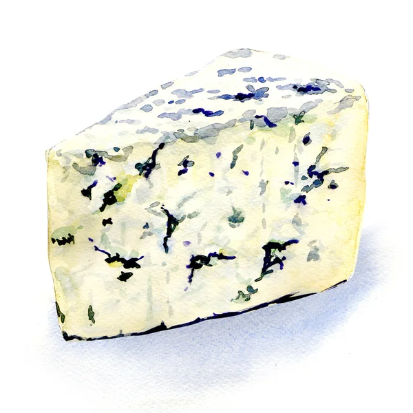 Läckra mögel ost på en vit bakgrund — Stockfoto