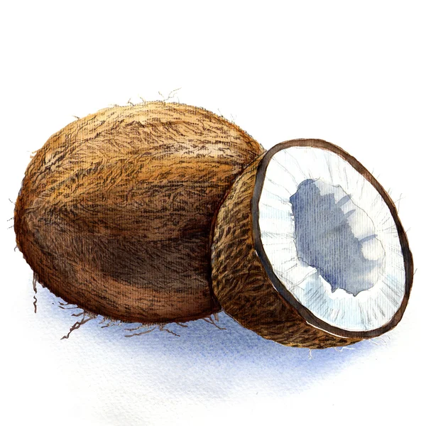 Noci di cocco — Foto Stock