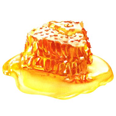 Tatlı ballı bal petekleri, beyazda izole edilmiş