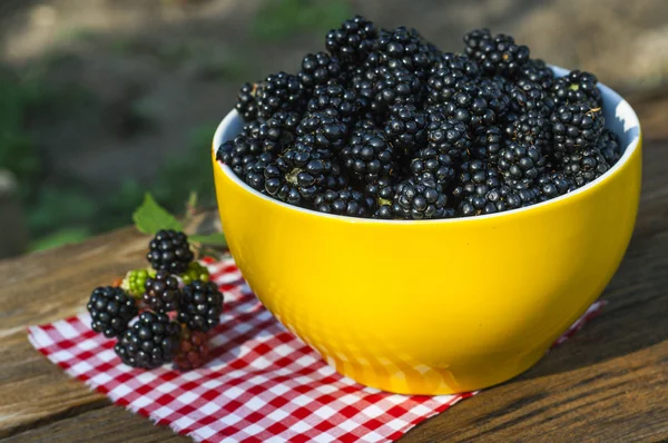 Sweet blackberry in bowl — Stock Photo, Image