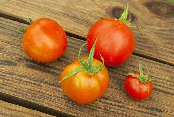 Fresh tomatoes on wooden table — Stock Photo, Image