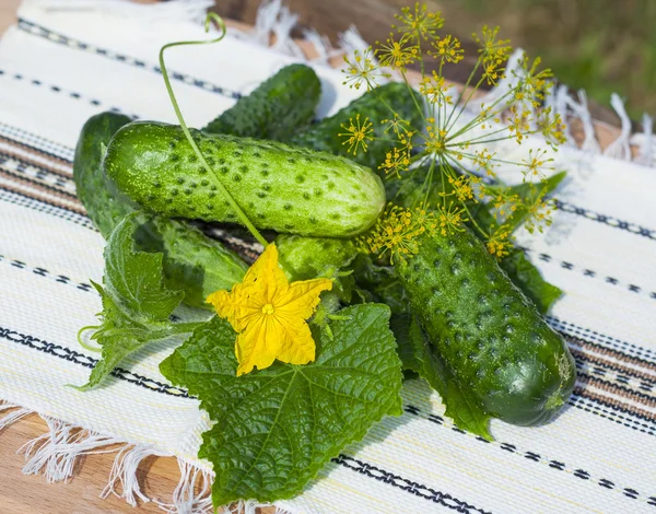 Огірки з листям на дерев'яному столі — стокове фото