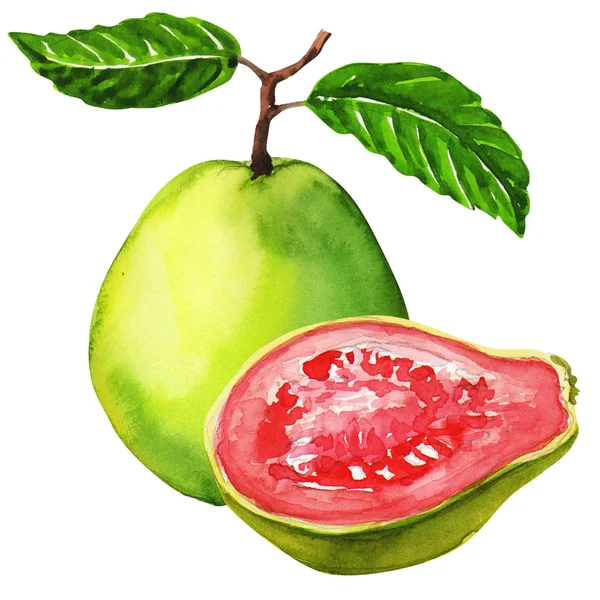 Beyaz arkaplanda izole edilmiş taze guava meyvesi — Stok fotoğraf