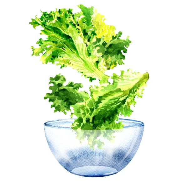 Fresh green lettuce salad, flying green leaves, vegetarian healthy food concept, ingredients falling into bowl, isolated, hand drawn watercolor illustration on white — Stock Photo, Image