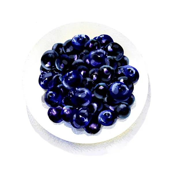 Tasty forest blueberry on a white round plate. Heap of sweet blueberry berries, organic natural healthy food, isolated, hand drawn watercolor illustration on white background — Stock Photo, Image