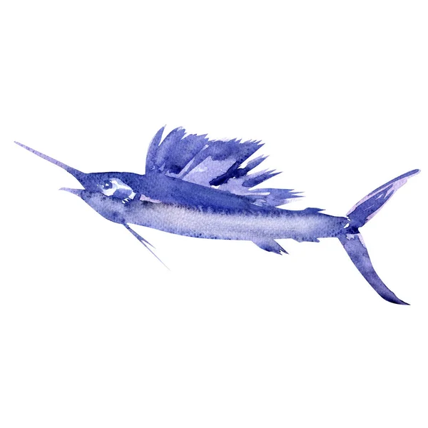 Атлантична блакитна рибка Марлін, меч меч, рибний меч, нігери Макайра, ізольовані, океан, морська риба, крупний план, ручний намальований аквареллю на білому — стокове фото