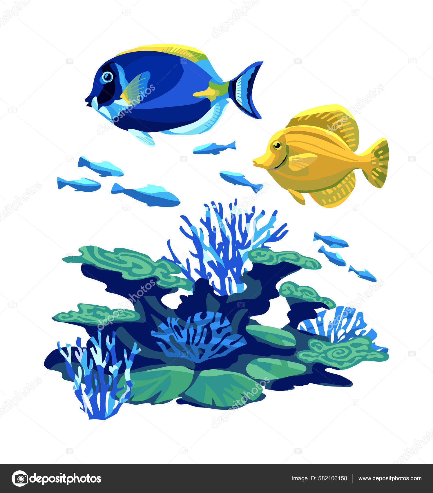 Coral reef fish clipart