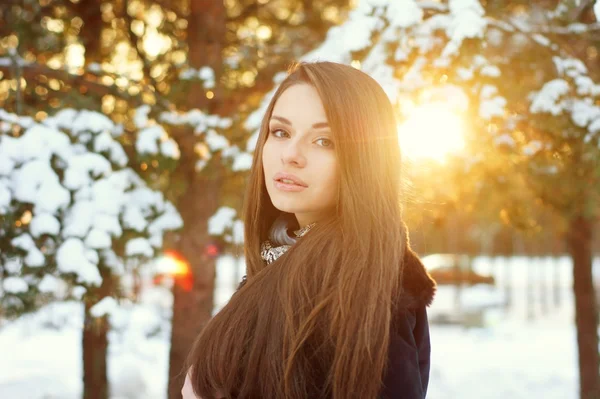 Vacker flicka i vinter skog — Stockfoto