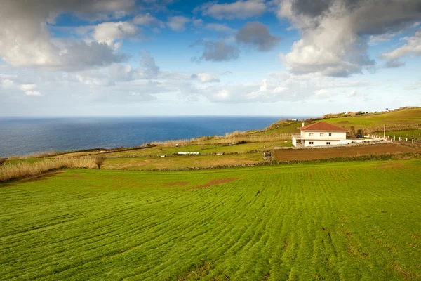 Agriturismo sulla costa dell'oceano, Azzorre, Portogallo — Foto Stock