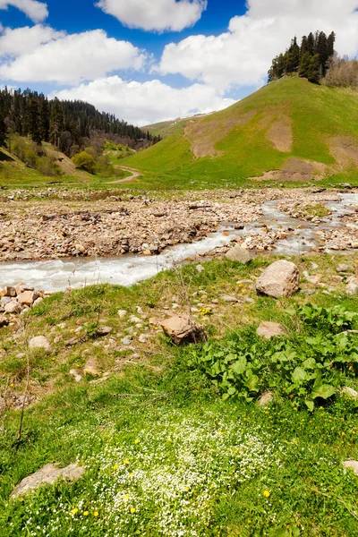 Vista ai piedi delle montagne del Caucaso vicino ad Arkhyz — Foto Stock