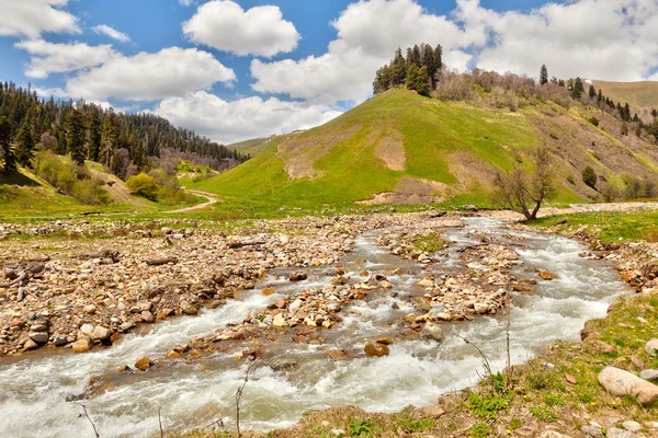 Vista para o sopé das montanhas do Cáucaso perto de Arkhyz — Fotografia de Stock