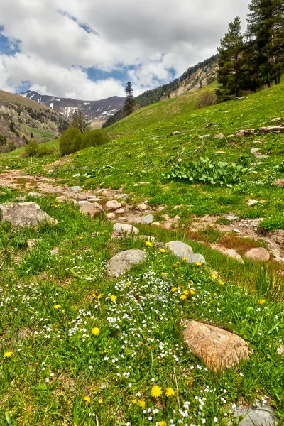 Visa till foten av Kaukasus bergen nära arkhyz — Stockfoto