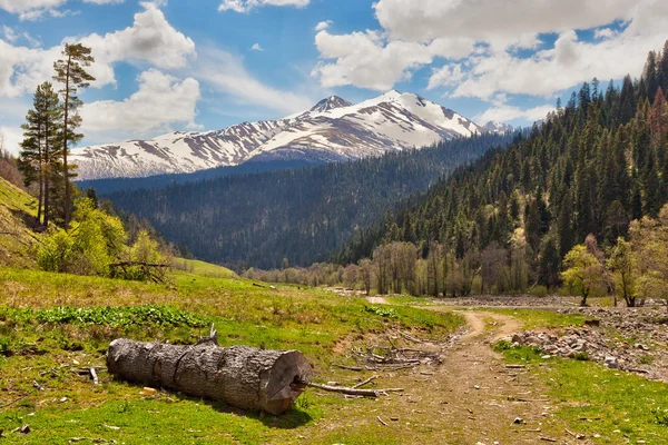 Vista a la nieve en las montañas del Cáucaso cerca de Arkhyz — Foto de Stock