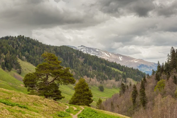 Vista a las estribaciones de las montañas del Cáucaso cerca de Arkhyz, Karachay-Ch —  Fotos de Stock