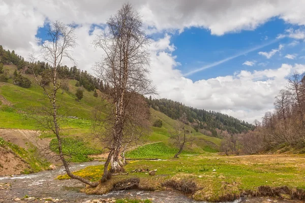 Vue sur les contreforts des montagnes du Caucase au-dessus du ruisseau sous lourd — Photo