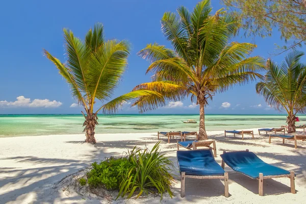 Liegestühle unter Palmenblättern am Strand von Indien — Stockfoto