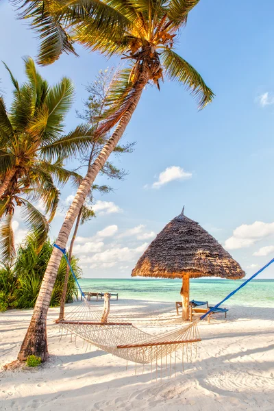 Hängmatta på stranden mellan två träd med skugga på vit — Stockfoto