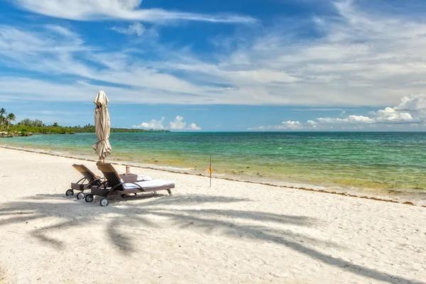 Пляжные кресла под пальмовыми листьями на берегу Индии — стоковое фото