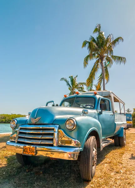 Velho carro americano de pé sob palmeira — Fotografia de Stock