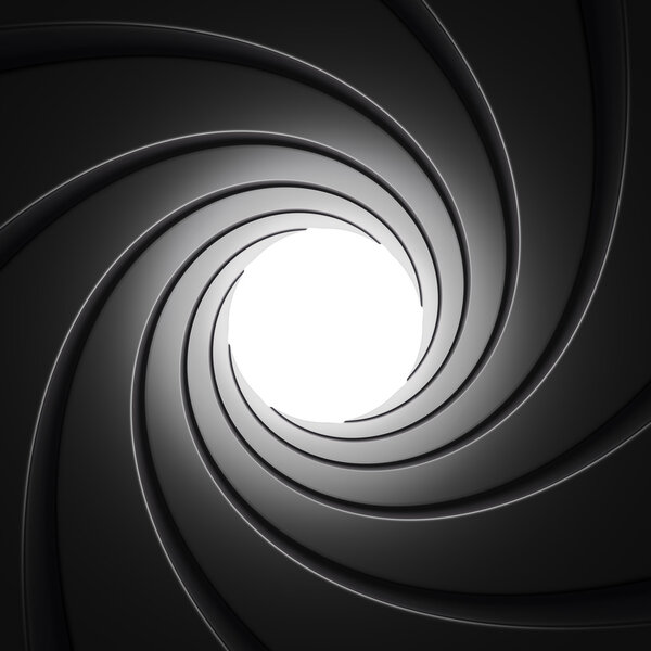 Gun Barrel from Inside