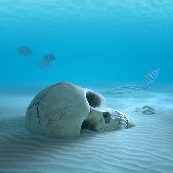 Cráneo en el fondo del océano arenoso con peces pequeños limpiando algunos huesos — Foto de Stock