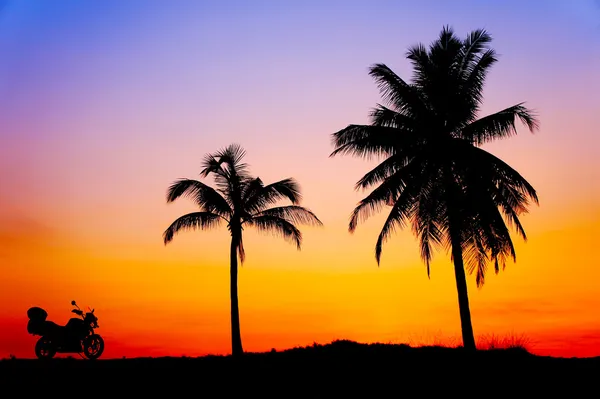 Great sunset with silhouette — Stock Photo, Image