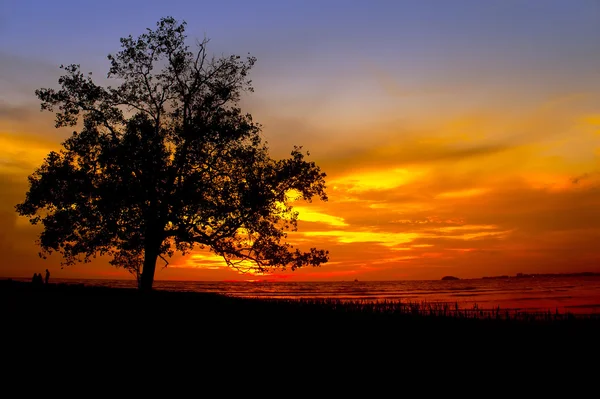 Wielki zachód słońca — Zdjęcie stockowe