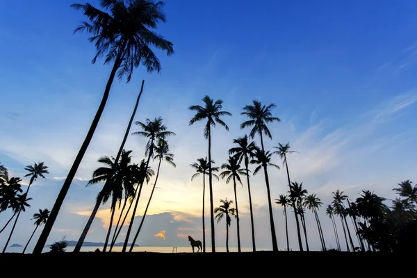 Great sky sunrise — Stock Photo, Image