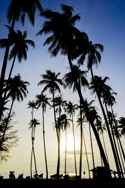 Lever de soleil à la plage — Photo