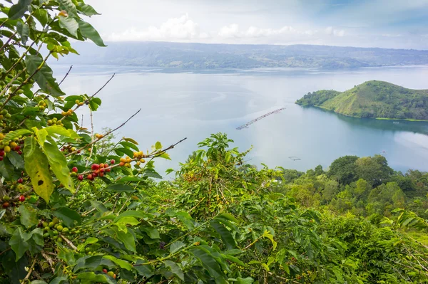 Lago toba, indonesia — Foto de Stock