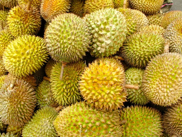 Sfondo durian — Foto Stock