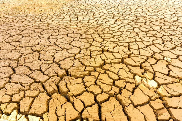 Arcilla agrietada — Foto de Stock