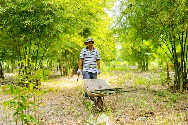 Men use a wheelbarrow — Stock Photo, Image