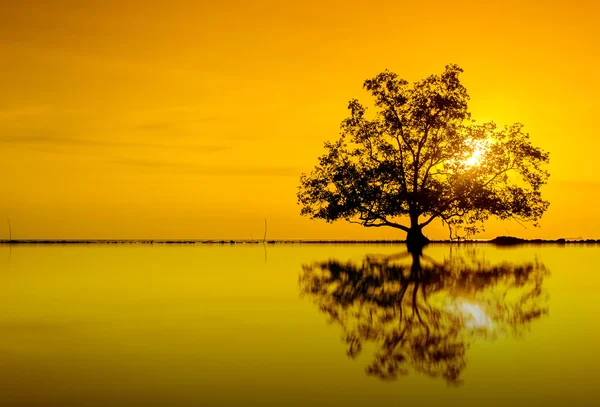 Orange sunset reflection — Stock Photo, Image