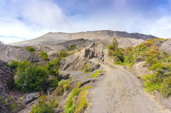 Volcano at Mount Bromo visitor — Stock Photo, Image