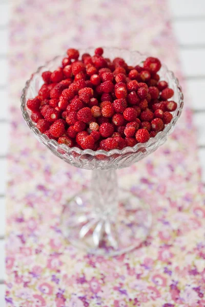 Cuenco de fresas silvestres — Foto de Stock