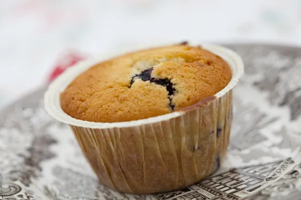 Muffin de arándanos —  Fotos de Stock
