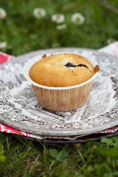 Muffin aux myrtilles — Photo
