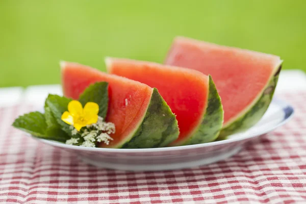 Vattenmelon — Stockfoto