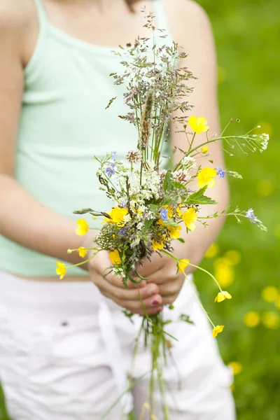 Wild flowers — Stock Photo, Image