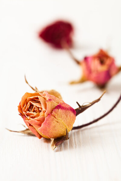 Сушеные розы
