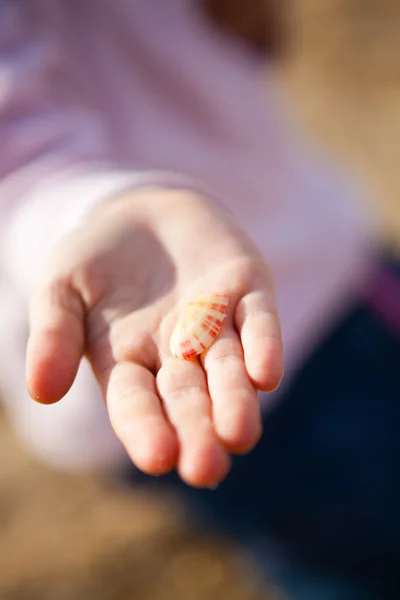 Seashell in hand — Stock Photo, Image