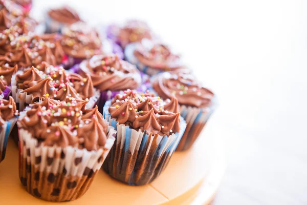 Cupcakes de chocolate — Fotografia de Stock