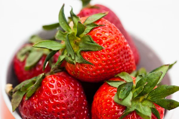 Verse aardbeien — Stockfoto