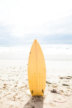 sörf tahtası ayakta dik kum