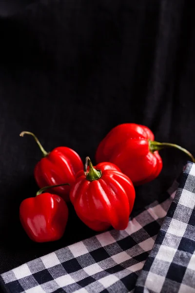 Červené chilli papričky — Stock fotografie