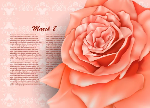 Vintage background with beautiful pastel rose, may be used as a Women 's Day backdrop — стоковый вектор