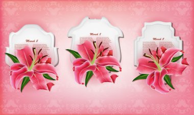 güzel hediye kartı ile pembe lily, bir kadının gün kutlama kullanılabilir